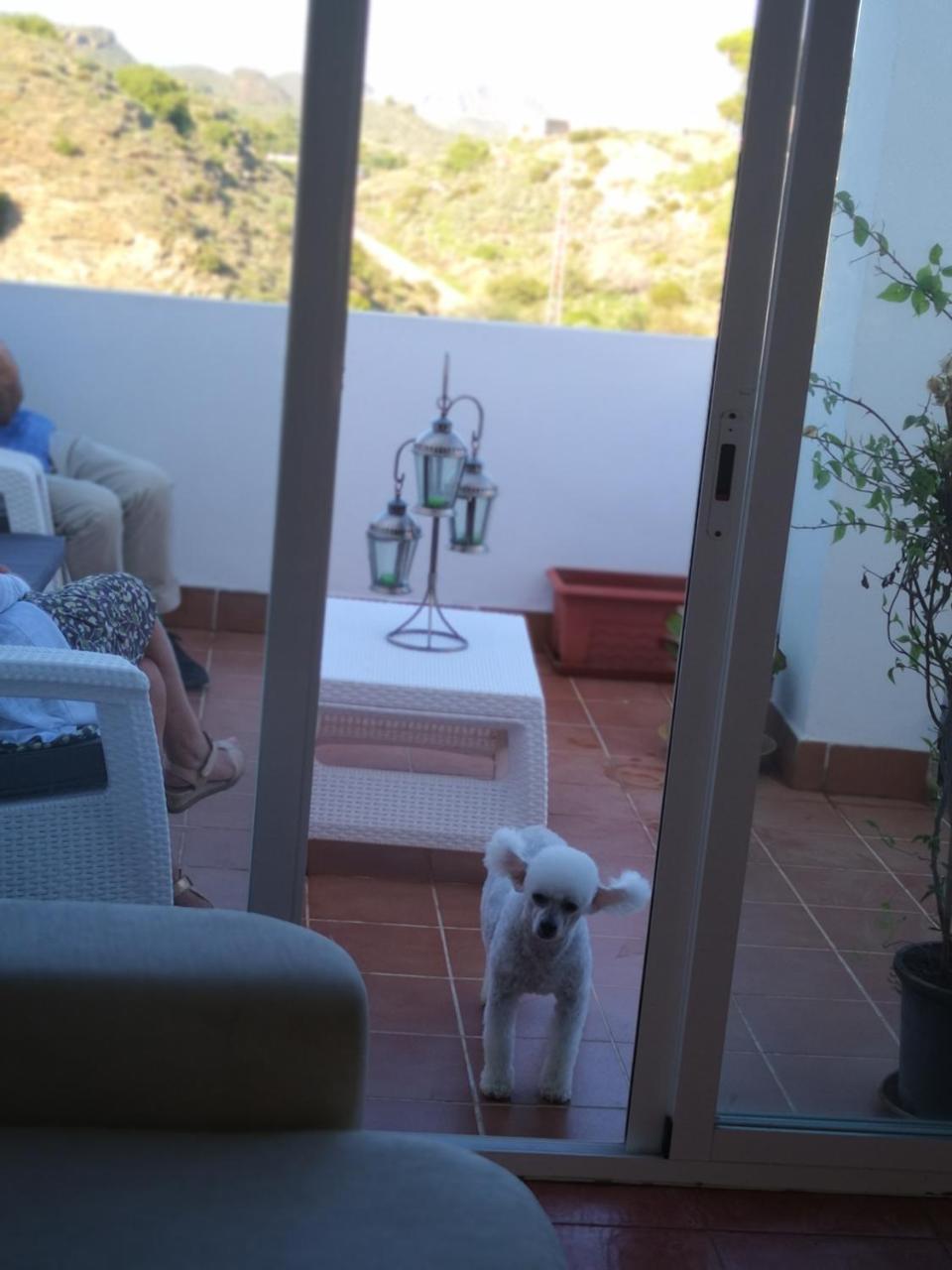 Joya Del Mar Apartment Mojacar Exterior photo
